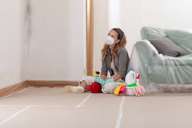 Reliable Black Mold Removal contractor in Plantation, FL by WQB Mold Removal